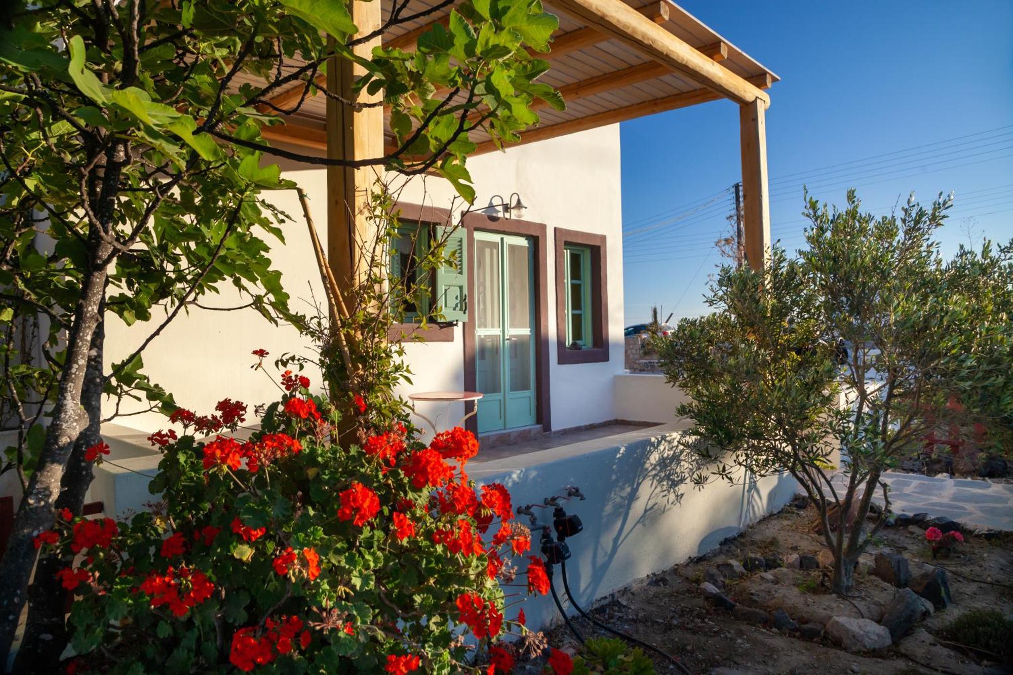Ferienhaus Olive Leaf
